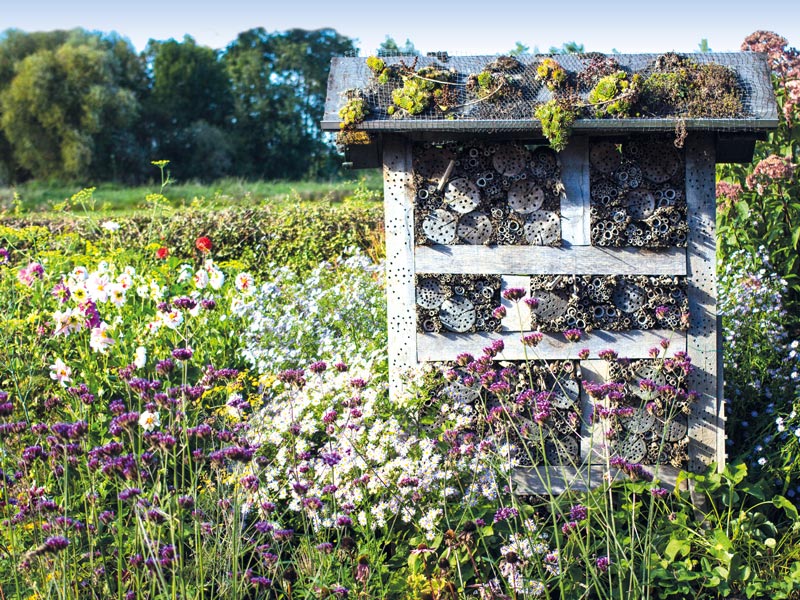 XXXXL Bienenhotels entlang des Natur- und Kulturlandschaftslehrpfades Merzhausen