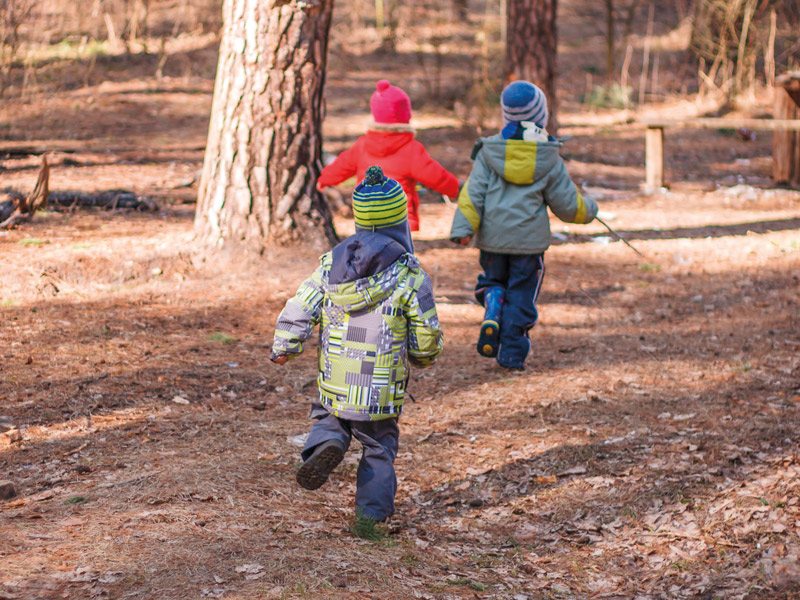 Errichtung eines Waldkindergartens "Wildlinge e.V." in Hadamar Oberzeuzheim