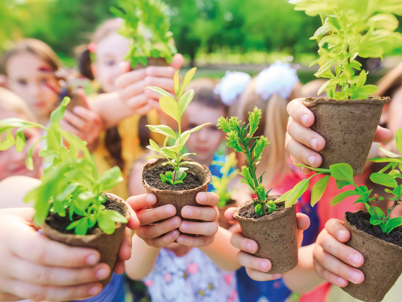 Kinder zeigen Pflanzensetzlinge