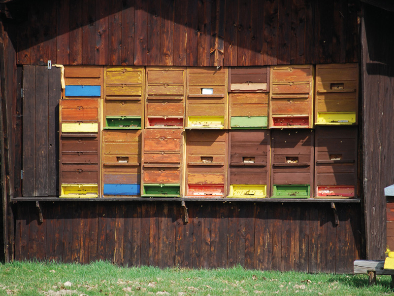 Imkerhütte und Erweiterung des Bienengartens im Imkerzentrum Rheingau