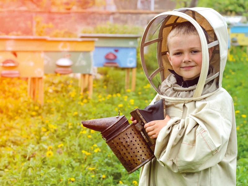 Bienen, die Königin der Lüfte zieht an der Geschwister-Grimm-Schule ein