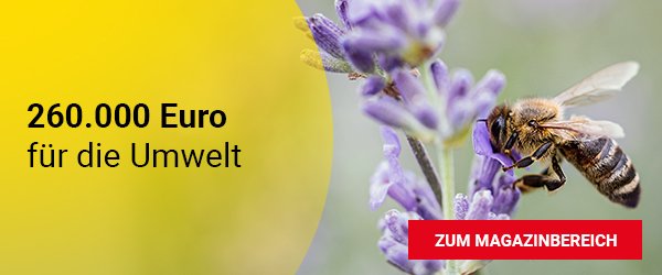 260.000 Euro für die Umwelt in Hessen