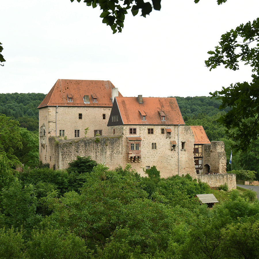 Neues Gemäuer für Burg Tannenberg