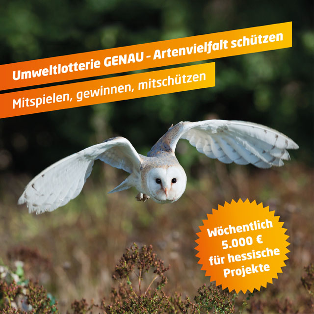 GENAU - Die Umweltlotterie: Gemeinsam für Artenschutz & Artenvielfalt