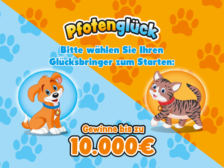 Pfotenglück