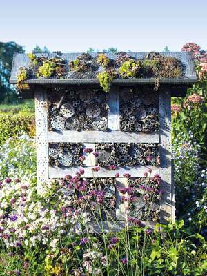 Gewinner-Projekt: XXXXL Bienenhotels entlang des Natur- und Kulturlandschaftslehrpfades Merzhausen