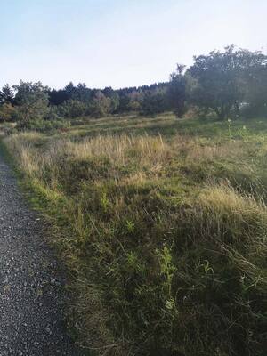 Gewinner-Projekt: Wacholderheide Eschenburg Eiershausen