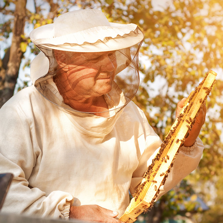 GENAU unterstützt Bienenfreunde im Odenwald