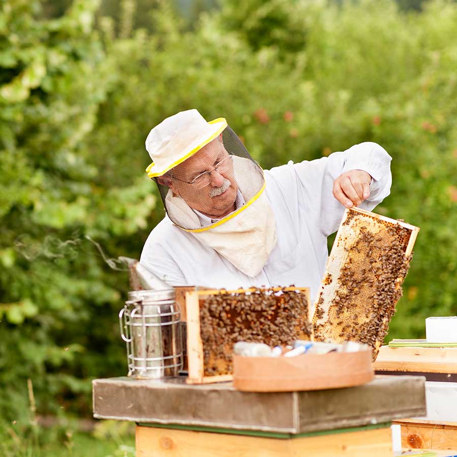  Bienenjahr in Friedberg kann beginnen