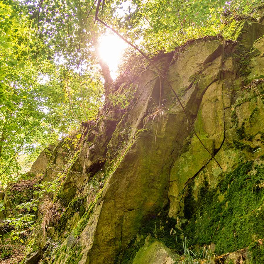 GENAU legt Grundstein für steinige Paradiese 