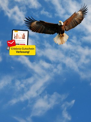 Gewinnspiel: 4x 100€ Erlebnisgutscheine!