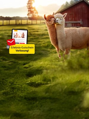 Gewinnspiel: 4 x 100 € Erlebnisgutscheine!