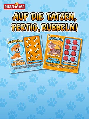 NEU: Pfotenglück